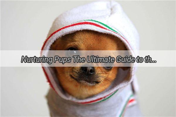 Nurturing Pups The Ultimate Guide to the Best Ways to Nurse Your Doggy